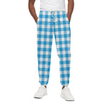 Azure Blue And White Gingham Print Cotton Pants