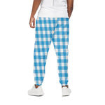 Azure Blue And White Gingham Print Cotton Pants