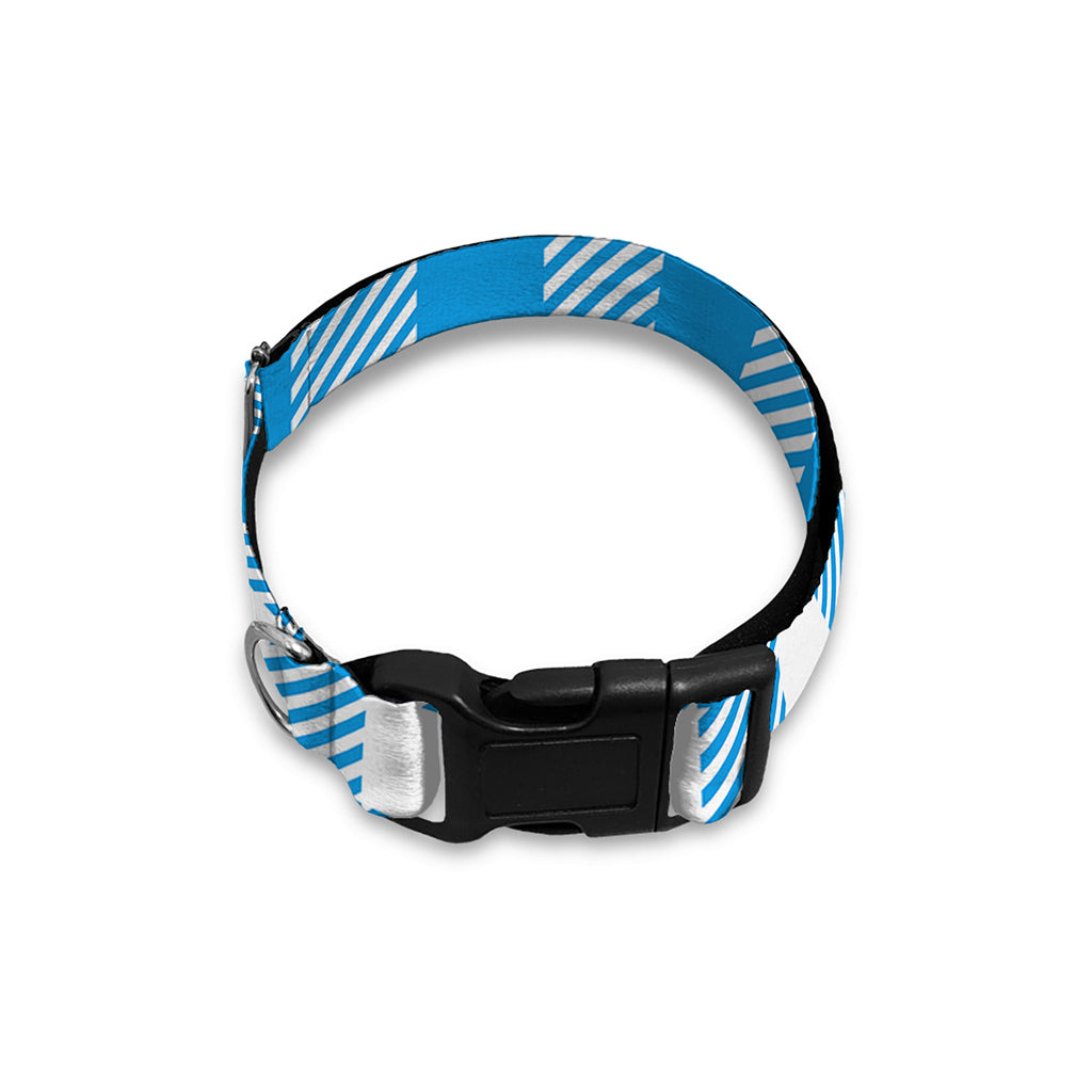 Azure Blue And White Gingham Print Dog Collar
