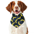 Banana Fruit Pattern Print Dog Bandana
