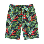 Banana Leaf Hawaiian Pattern Print Cotton Shorts