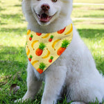 Banana Pineapple Pattern Print Over The Collar Dog Bandana