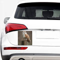 Barn Owl Print Car Sticker