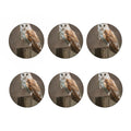 Barn Owl Print Coaster Set