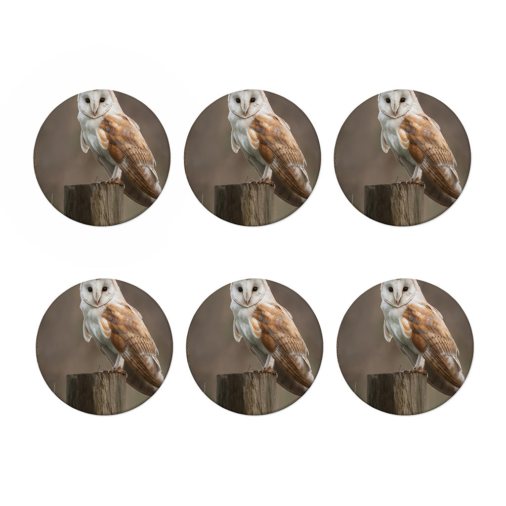 Barn Owl Print Coaster Set