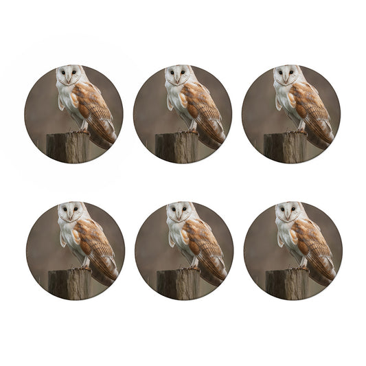 Barn Owl Print Coaster Set