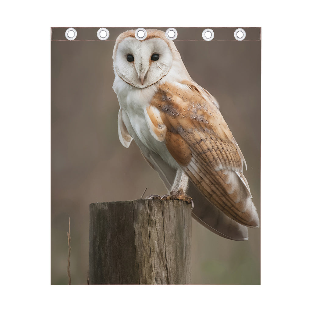 Barn Owl Print Curtain