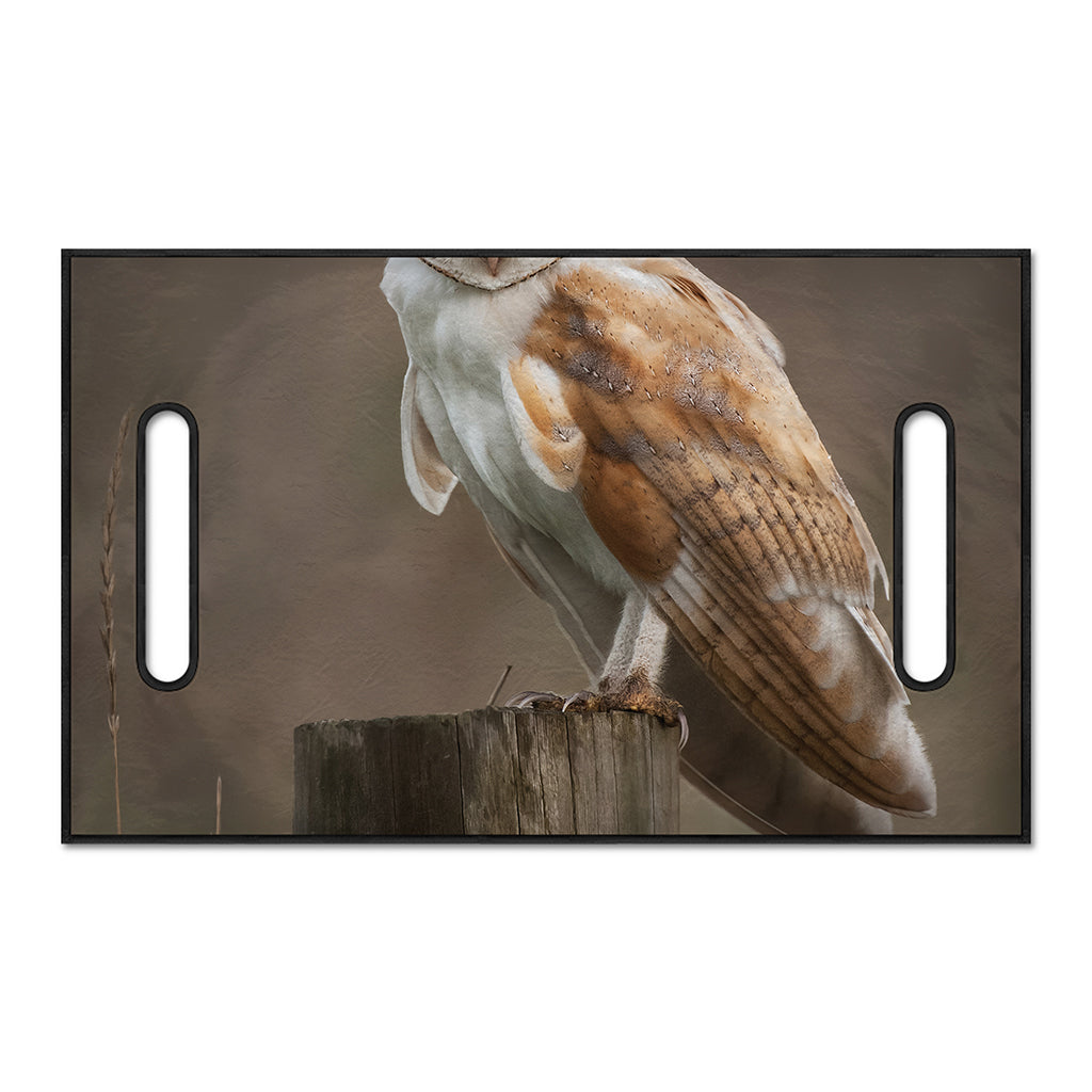 Barn Owl Print Golf Cart Seat Cover