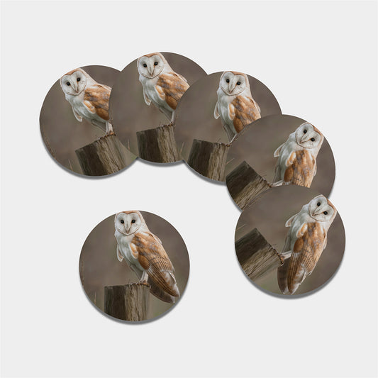Barn Owl Print Leather Coaster Set