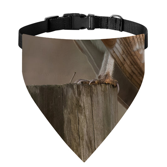 Barn Owl Print Over The Collar Dog Bandana
