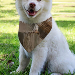 Barn Owl Print Over The Collar Dog Bandana