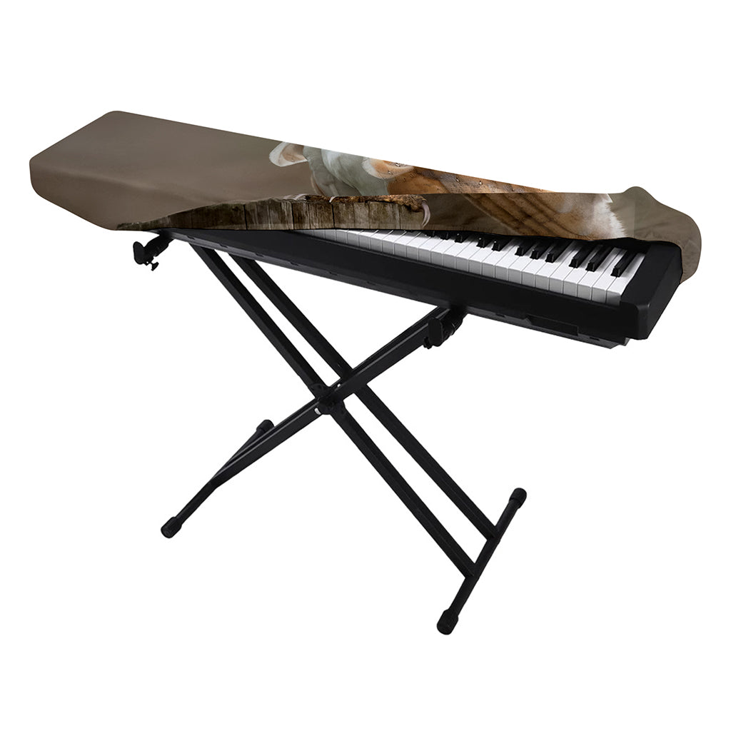 Barn Owl Print Piano Keyboard Cover