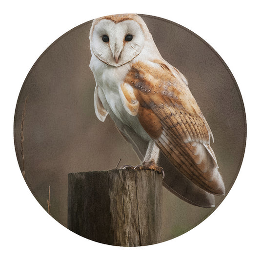 Barn Owl Print Round Blanket
