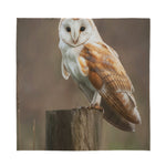 Barn Owl Print Silk Bandana