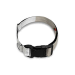 Baseball Stitching Print Dog Collar