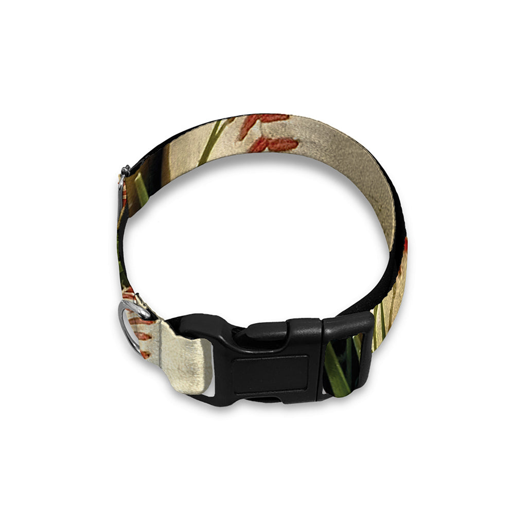 Baseballs On Field Print Dog Collar