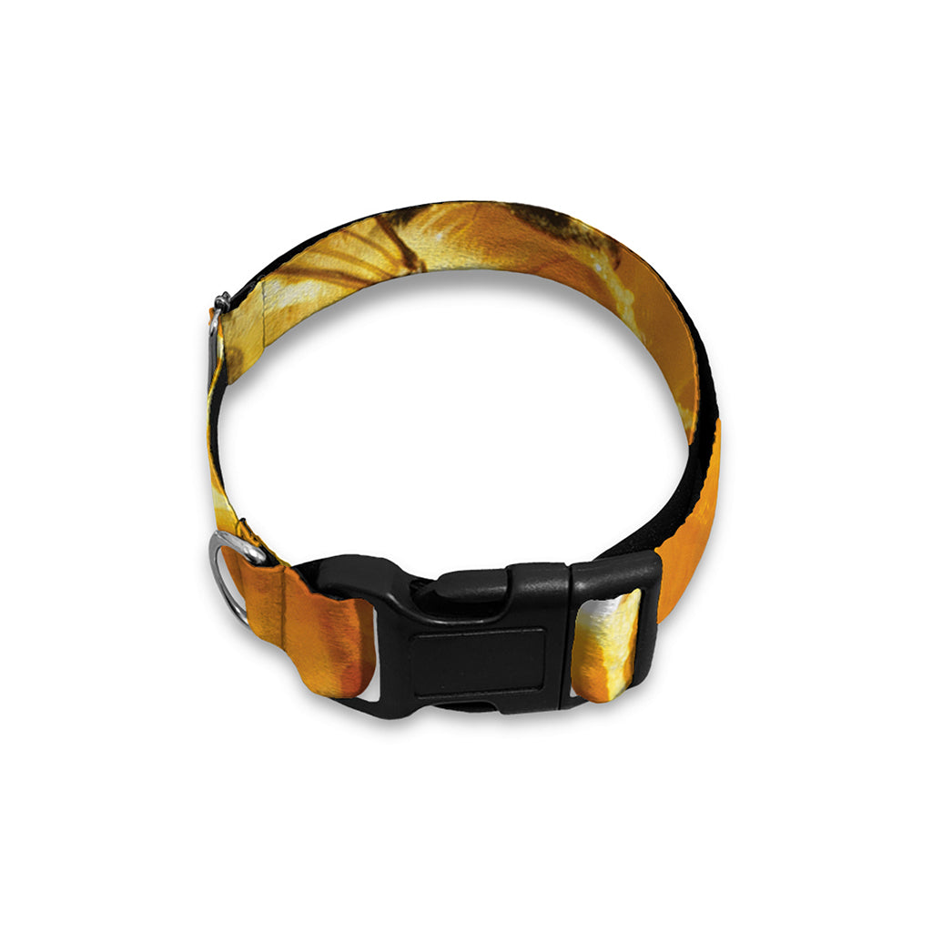 Bees And Honeycomb Print Dog Collar