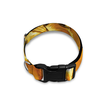 Bees And Honeycomb Print Dog Collar