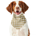 Beige And White Check Pattern Print Dog Bandana