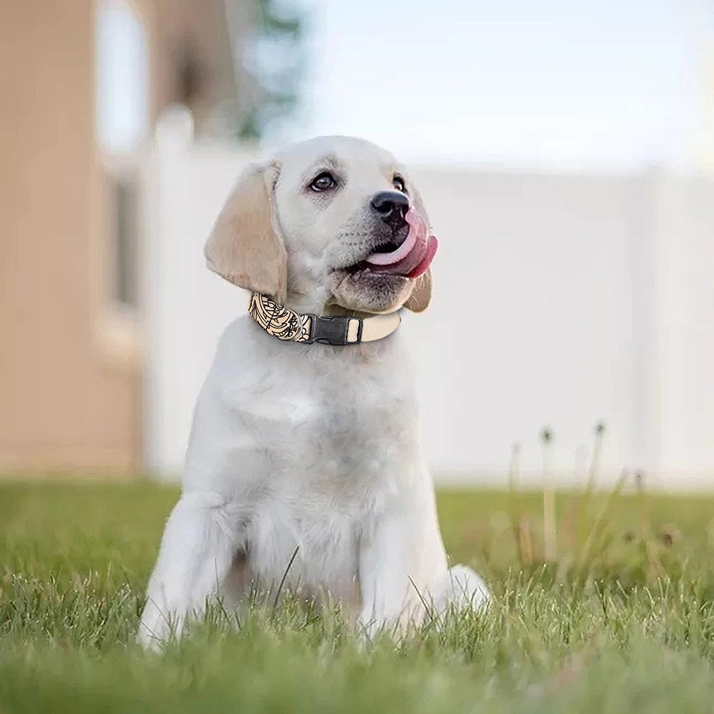 Beige Buddha Mandala Print Dog Collar