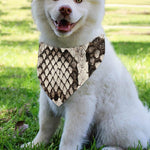 Beige Snakeskin Print Over The Collar Dog Bandana