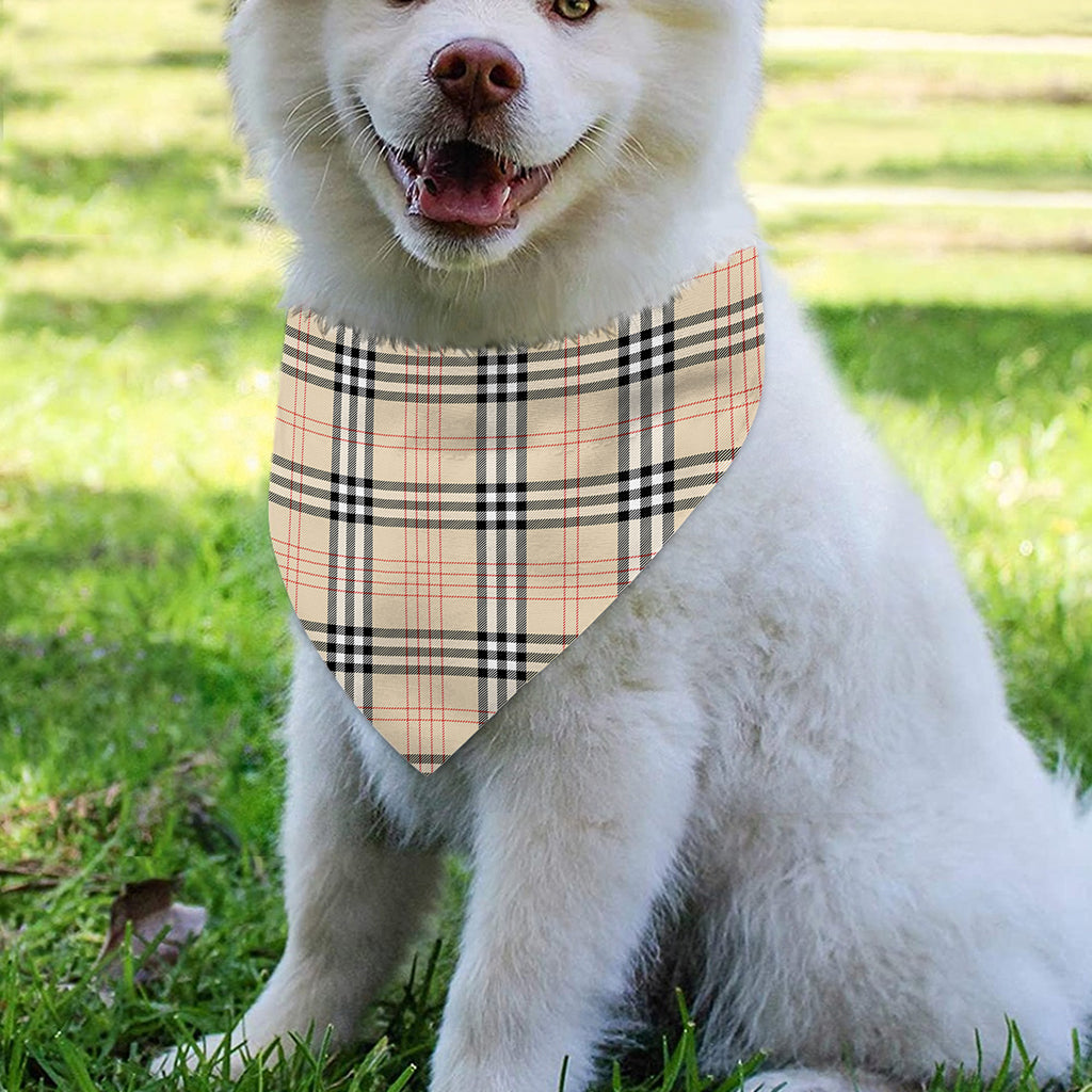 Beige Tartan Pattern Print Over The Collar Dog Bandana