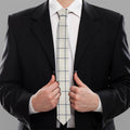 Beige Tattersall Pattern Print Necktie
