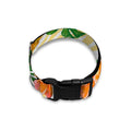 Beige Zebra Pineapple Pattern Print Dog Collar