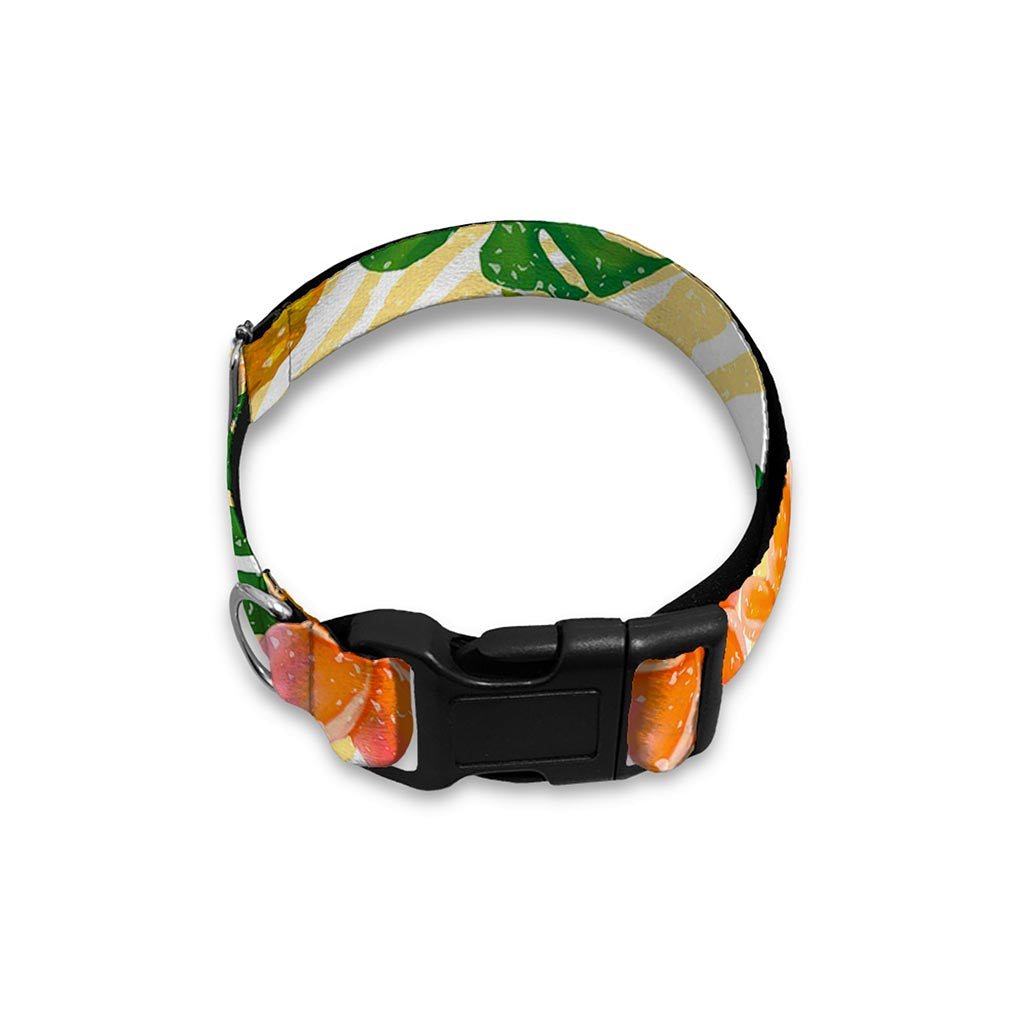 Beige Zebra Pineapple Pattern Print Dog Collar