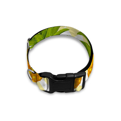 Beige Zig Zag Pineapple Pattern Print Dog Collar