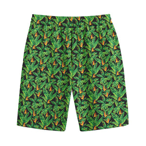 Bird Of Paradise And Palm Leaves Print Cotton Shorts