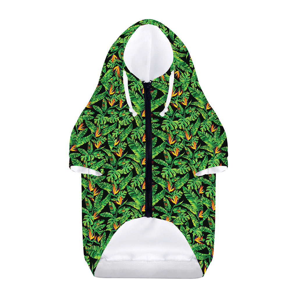 Bird Of Paradise And Palm Leaves Print Dog Zip Up Hoodie