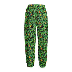 Bird Of Paradise And Palm Leaves Print Fleece Lined Knit Pants