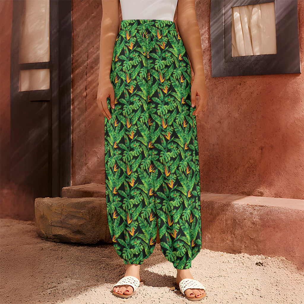 Bird Of Paradise And Palm Leaves Print Harem Pants