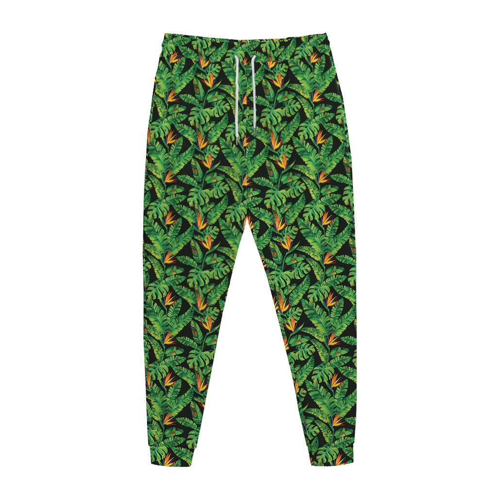 Bird Of Paradise And Palm Leaves Print Jogger Pants