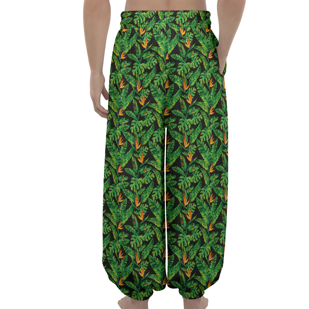 Bird Of Paradise And Palm Leaves Print Lantern Pants