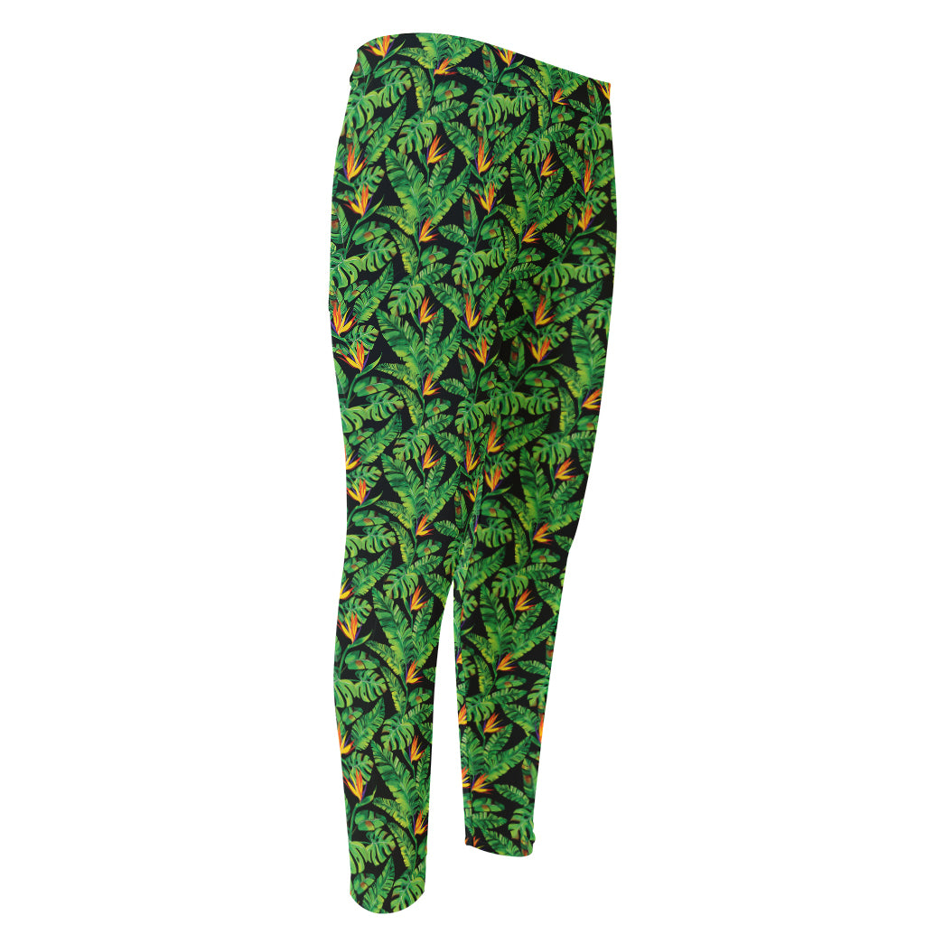 Bird Of Paradise And Palm Leaves Print Men's Compression Pants