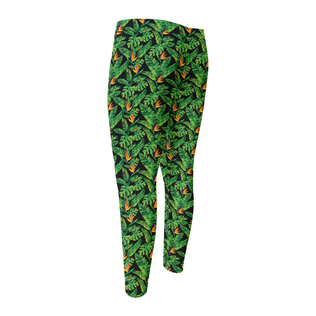 Bird Of Paradise And Palm Leaves Print Men's Compression Pants