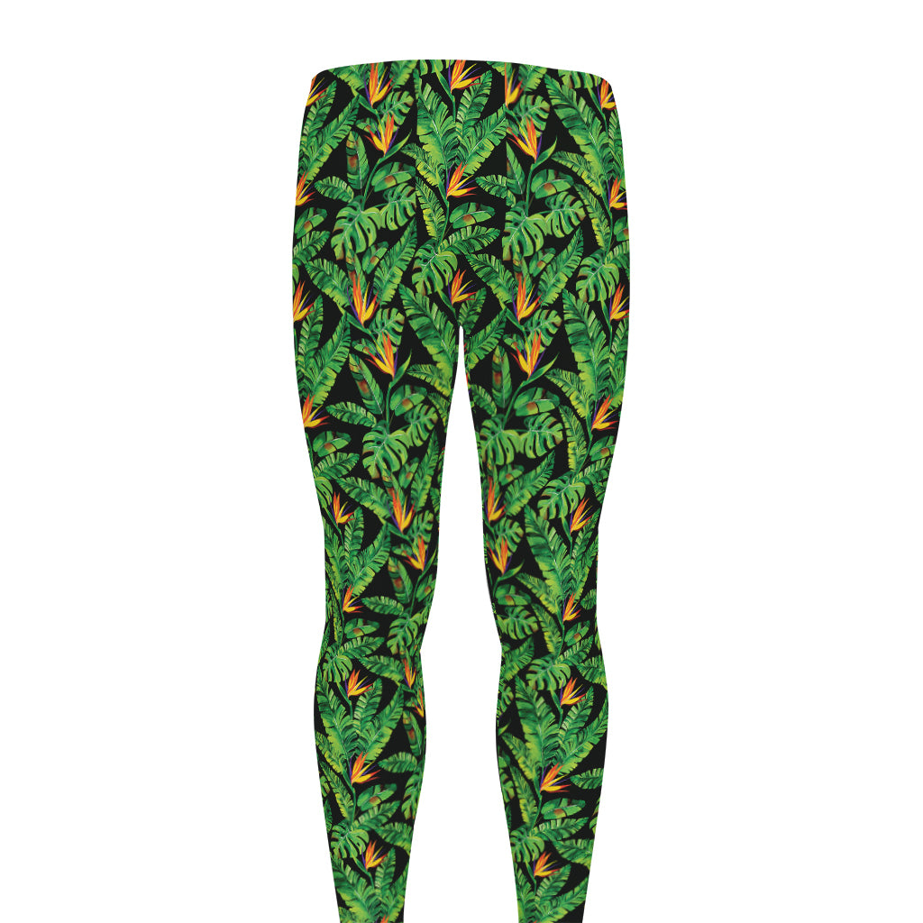 Bird Of Paradise And Palm Leaves Print Men's leggings