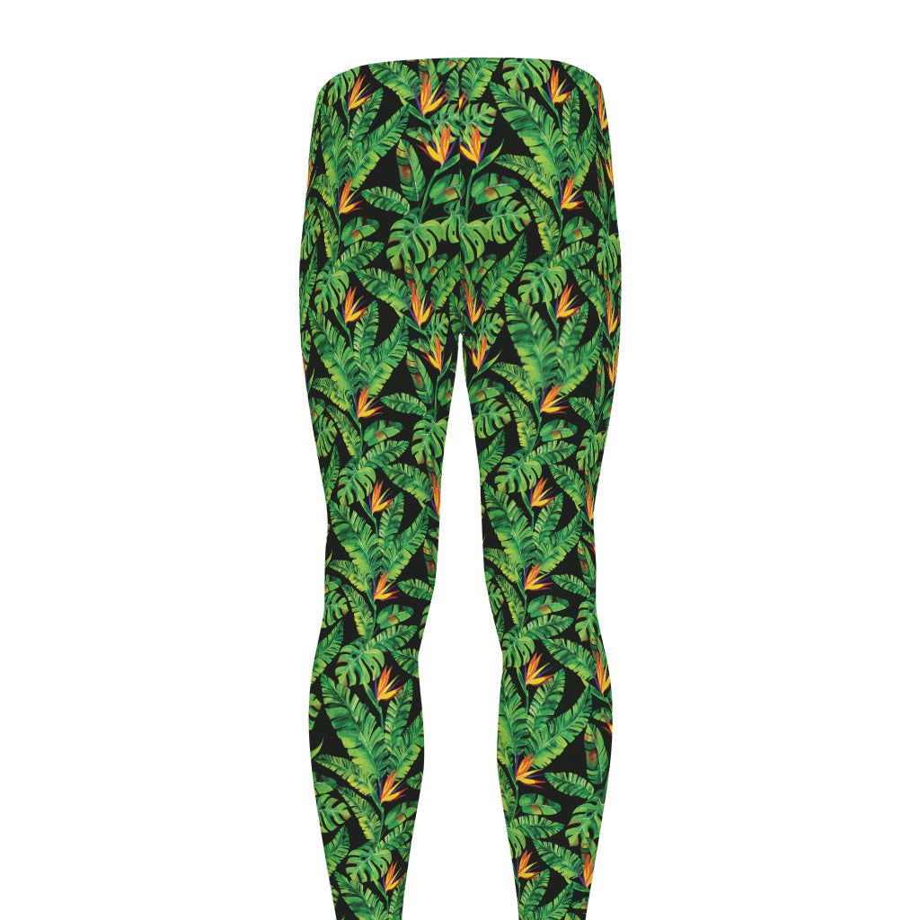 Bird Of Paradise And Palm Leaves Print Men's leggings