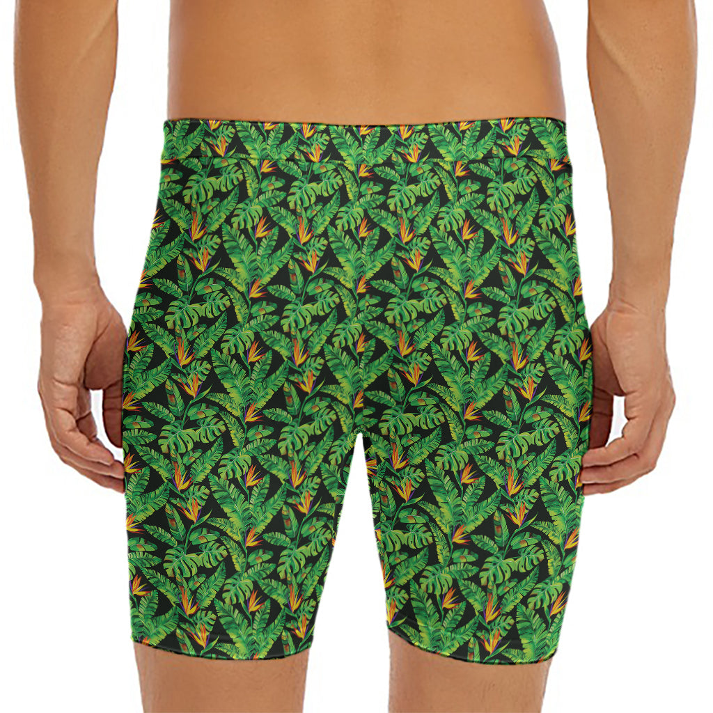 Bird Of Paradise And Palm Leaves Print Men's Long Boxer Briefs