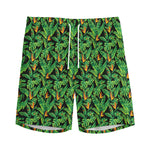 Bird Of Paradise And Palm Leaves Print Men's Sports Shorts