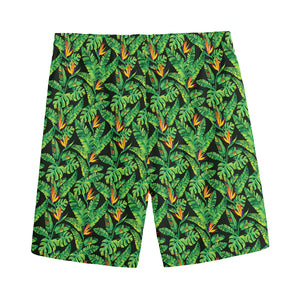 Bird Of Paradise And Palm Leaves Print Men's Sports Shorts