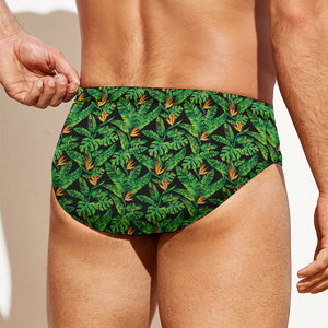 Bird Of Paradise And Palm Leaves Print Men's Swim Briefs