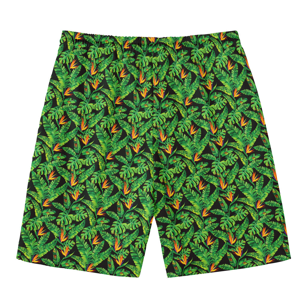 Bird Of Paradise And Palm Leaves Print Men's Swim Trunks