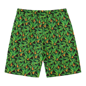 Bird Of Paradise And Palm Leaves Print Men's Swim Trunks