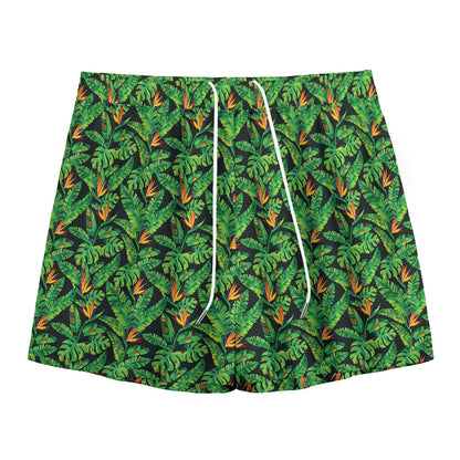 Bird Of Paradise And Palm Leaves Print Mesh Shorts