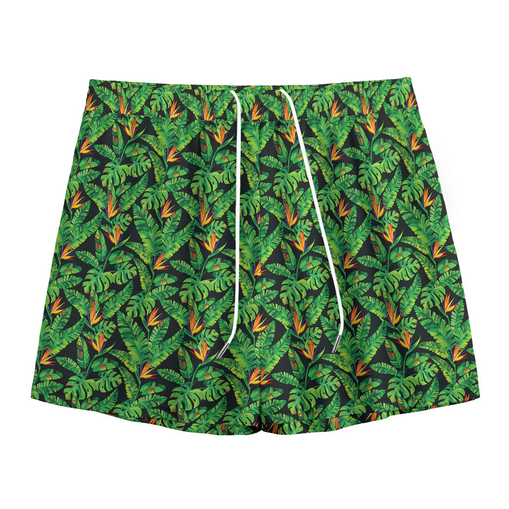 Bird Of Paradise And Palm Leaves Print Mesh Shorts