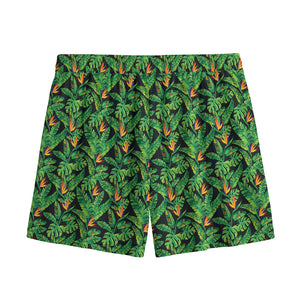 Bird Of Paradise And Palm Leaves Print Mesh Shorts