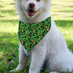 Bird Of Paradise And Palm Leaves Print Over The Collar Dog Bandana
